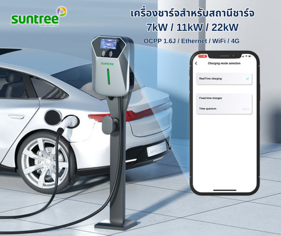สินค้า2